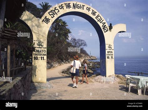 The Night of the Iguana! - A tale of sexual repression and spiritual awakening against the backdrop of Mexican paradise! 